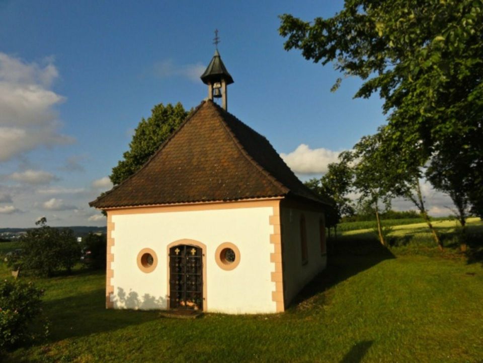 Freizeitgrundstückle - Wäldchen-Krautland in Illmensee