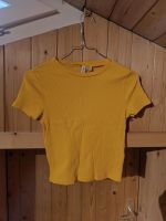 H&M Oberteil Shirt Crop gelb neu 36 S Damen Hessen - Niedernhausen Vorschau