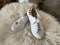 Steve Madden Sneaker Nordrhein-Westfalen - Iserlohn Vorschau