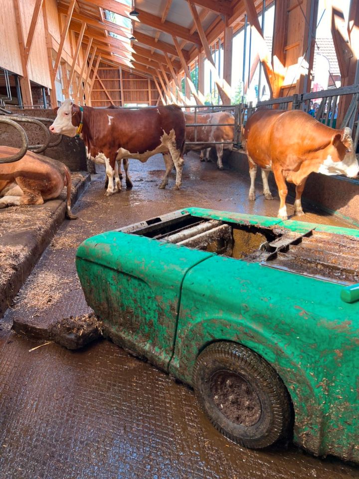 JOZ Barn-E Entmistungsroboter in Bad Waldsee