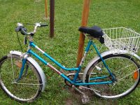 Damenfahrrad Diamant 26er blau Fahrrad DDR Sachsen - Dippoldiswalde Vorschau