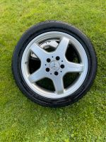 AMG Felgen 17" Mercedes W208 W209 W203 W202 R170 R171 W124 W201 Schleswig-Holstein - Treia Vorschau