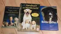 Cesar Millan Border Collie Hundezucht Sachbuch Hessen - Allendorf Vorschau