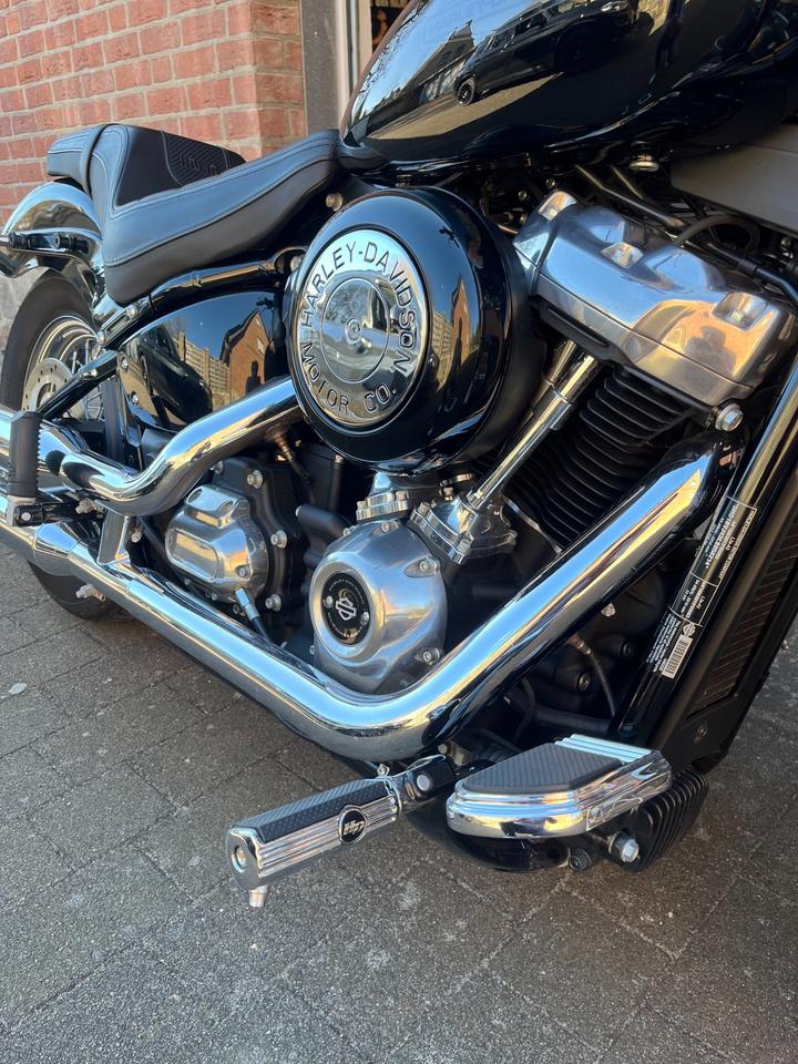 Harley-Davidson Softail Standard / Dr. Jekill & Mr. Hyde Anlage in Büdelsdorf
