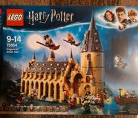 Lego Harry Potter 75954 mit Anleitung und OVP Nordrhein-Westfalen - Krefeld Vorschau