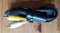 Kabel USB Cinch Nordrhein-Westfalen - Recklinghausen Vorschau