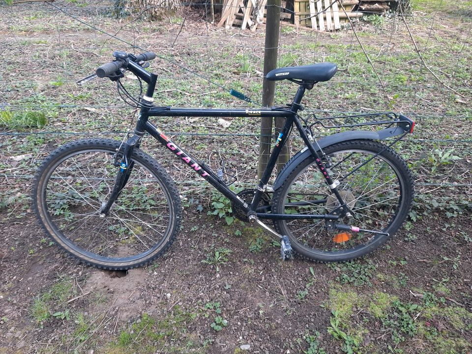 Giant Mountainbike Fahrrad 26 zoll 21 gänge in Offenbach