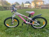 Haibike Little Life 20 Zoll Sachsen - Zwickau Vorschau