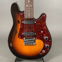 Fender FM60E SB 6-string Electric Mandolin Setneck Very Rare case Nordrhein-Westfalen - Herne Vorschau