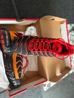 Nike Air Max Plus TN Gr . 42 Neu Original Ungetragen Hessen - Hanau Vorschau