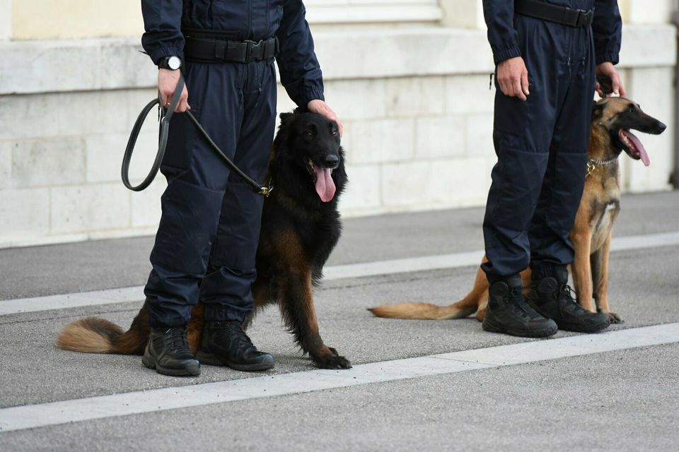 Diensthundeführer in Berlin