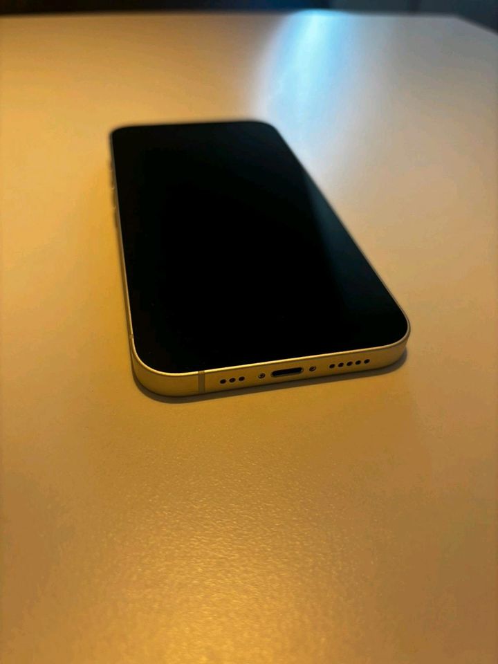 iPhone 13 256GB starlight (weiß) in Leopoldshöhe