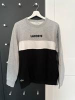 Lacoste Pullover L Nordrhein-Westfalen - Sundern (Sauerland) Vorschau