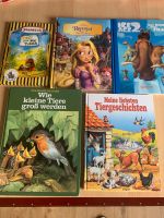 Kinderbücher in sehr gutem Zustand pro Stck.3 Euro Bayern - Schauenstein Vorschau
