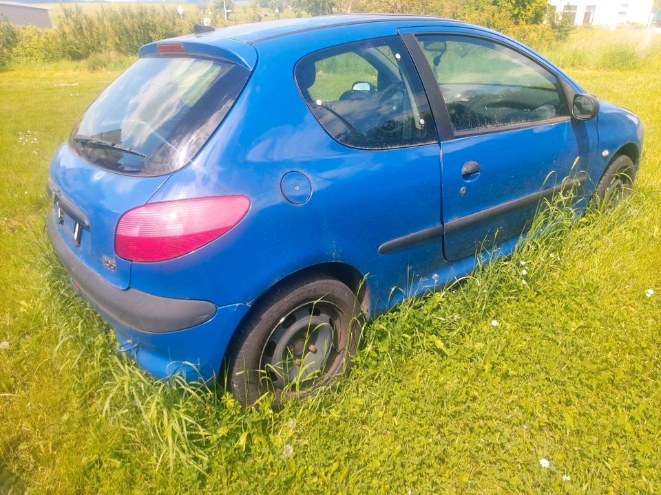 Peugeot 206 Schlachten Teileträger in Perl