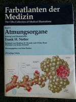 NETTER Farbatlanten der Medizin Bd. IV Atmungsorgane Thieme 1982 Bayern - Nürnberg (Mittelfr) Vorschau