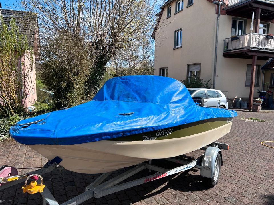 Hellwig Triton Motorboot Mercury 50PS und Trailer Sportboot Boot in Fuldatal