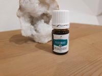 Pfefferminz Peppermint + Öl young living NEU und OVP Bayern - Krombach Vorschau