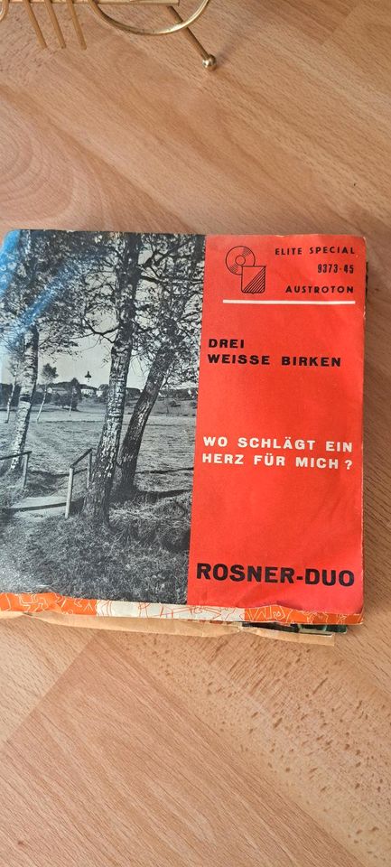 Schallplatten in Schwetzingen