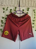 Puma BVB Shorts Größe S Neu! Nordrhein-Westfalen - Iserlohn Vorschau