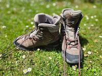 Lowa Mauria GTX Ws W, Größe 37 München - Altstadt-Lehel Vorschau