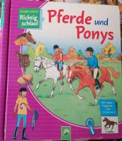 Pferde und Ponys kinderwissen Klappen Buch Niedersachsen - Springe Vorschau
