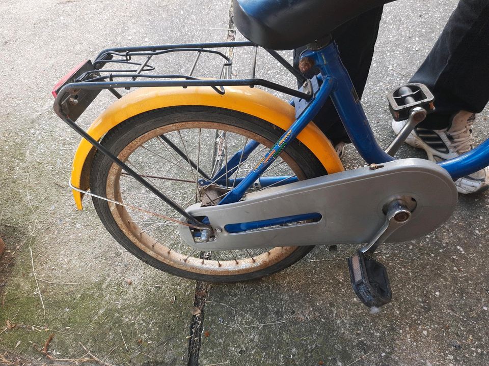 Kinderfahrrad 18 Zoll in Schkölen