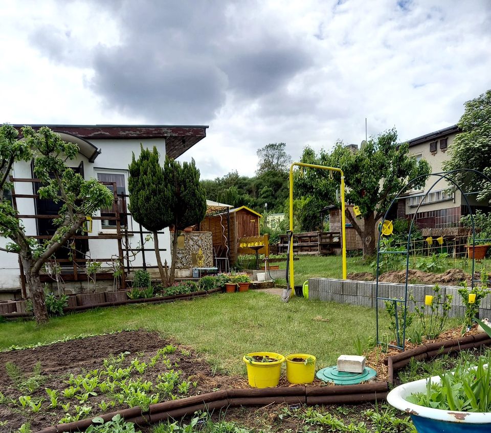 Garten in Neubrandenburg abzugeben in Neubrandenburg