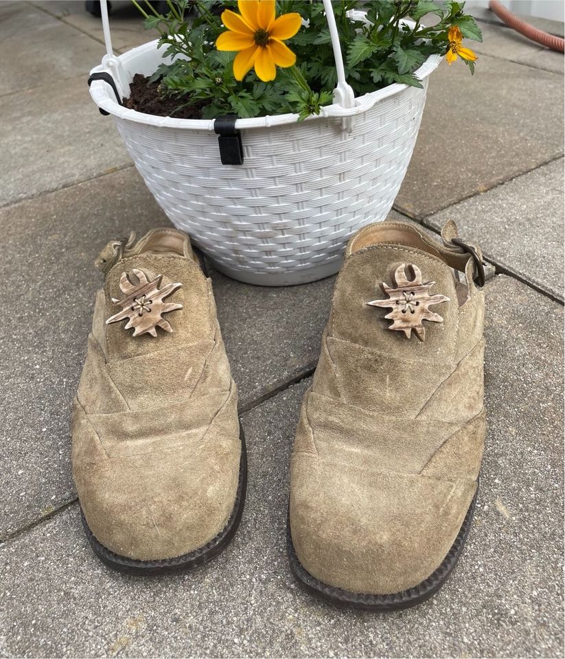 Trachtenschuhe Geier Wally 39 offen in Friedrichshafen