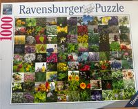 Puzzle Kräuter und Blumen Vorpommern-Rügen - Landkreis - Sundhagen Vorschau