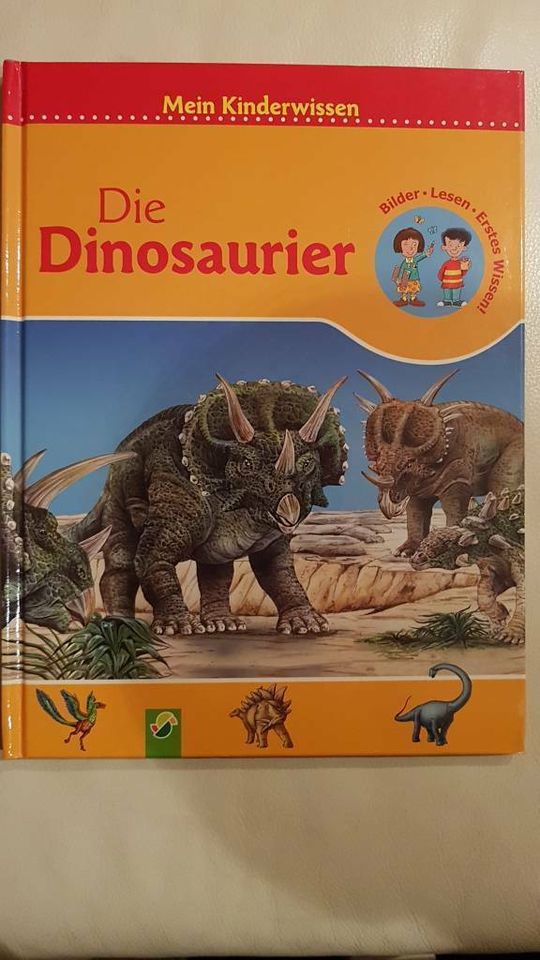 9 Bücher Bob der Baumeister Fussball Dinosaurier Cowboy Piraten in Dresden