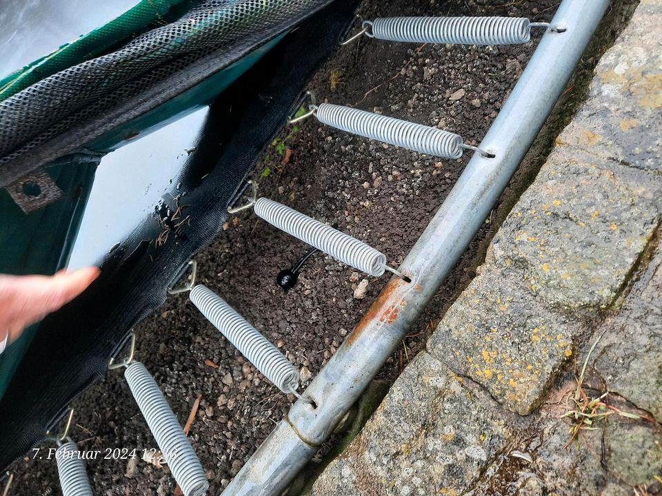 Trampolin Firma Berg in Dresden