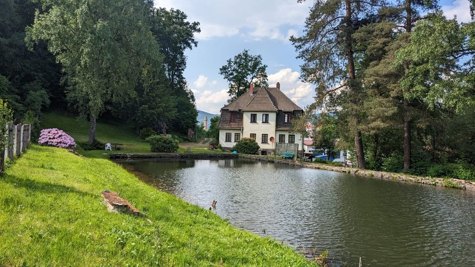 Wohn- und Geschäftshaus mit parkähnlichem Grundstück und Schwimmteich in Zella-Mehlis