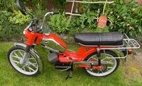 Zündapp ZD 40 Typ 446-30 echte 8.300km (Hai KS GTS CS GS K80 50) Bayern - Wernberg-Köblitz Vorschau