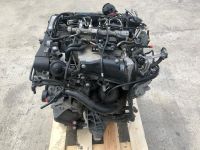 MOTOR CNH 68.342KM KOMPLETT 2.0 TDI 190PS AUDI VW Seat Skoda Niedersachsen - Braunschweig Vorschau