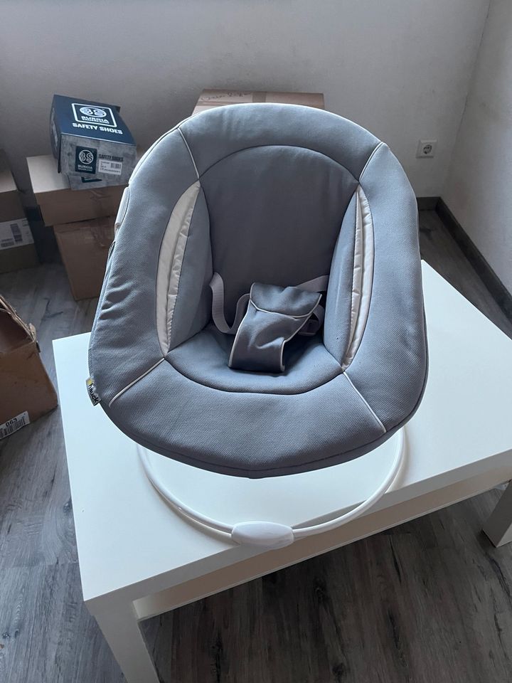 Hauck Baby Wippe Alpha Bouncer in Griesingen