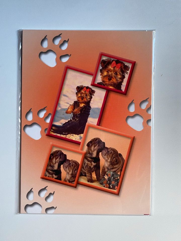 8 Postkarten Sets je 4-6 Karten Blumen Tiere Engel Geburtstag in Zwoenitz