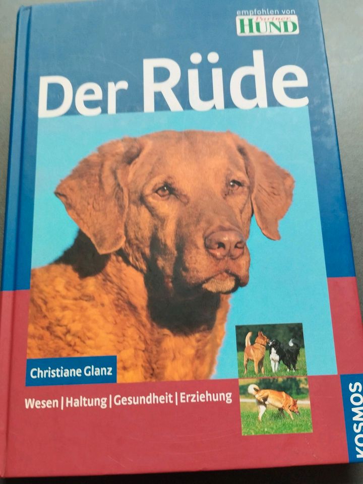 Der Rüde Wesen, Haltung, Gesundheit, Erziehung 10€ inkl. Versand in Schwanstetten