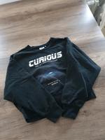 Only cropped Pullover Gr. M Leipzig - Grünau-Ost Vorschau