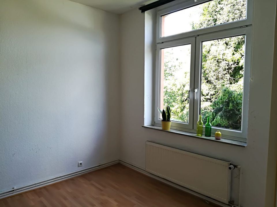 3,5 Zimmerwohnung in Stadtparknähe in Bochum