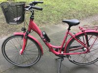 schickes damenfahrrad der marke raleigh unico life wave Wandsbek - Hamburg Farmsen-Berne Vorschau