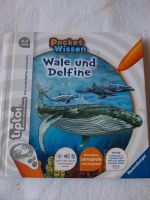 Tiptoi Buch/ Wale und Delfine Nordrhein-Westfalen - Simmerath Vorschau
