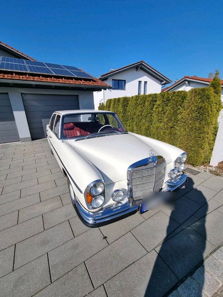 Mercedes  280 S w108 S-Klasse Note 1- in Traunreut