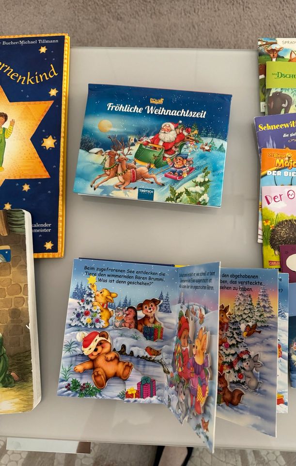 SET aus 4 Büchern  Bücher Weihnachtsbuch Kinderbuch in Braunschweig