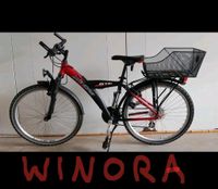 Winora MTB 26 Zoll Baden-Württemberg - Ottersweier Vorschau