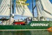 Ozeaneum: Greenpeace Dialoger*in-Ein Job, der in Dein Leben passt in Greifswald