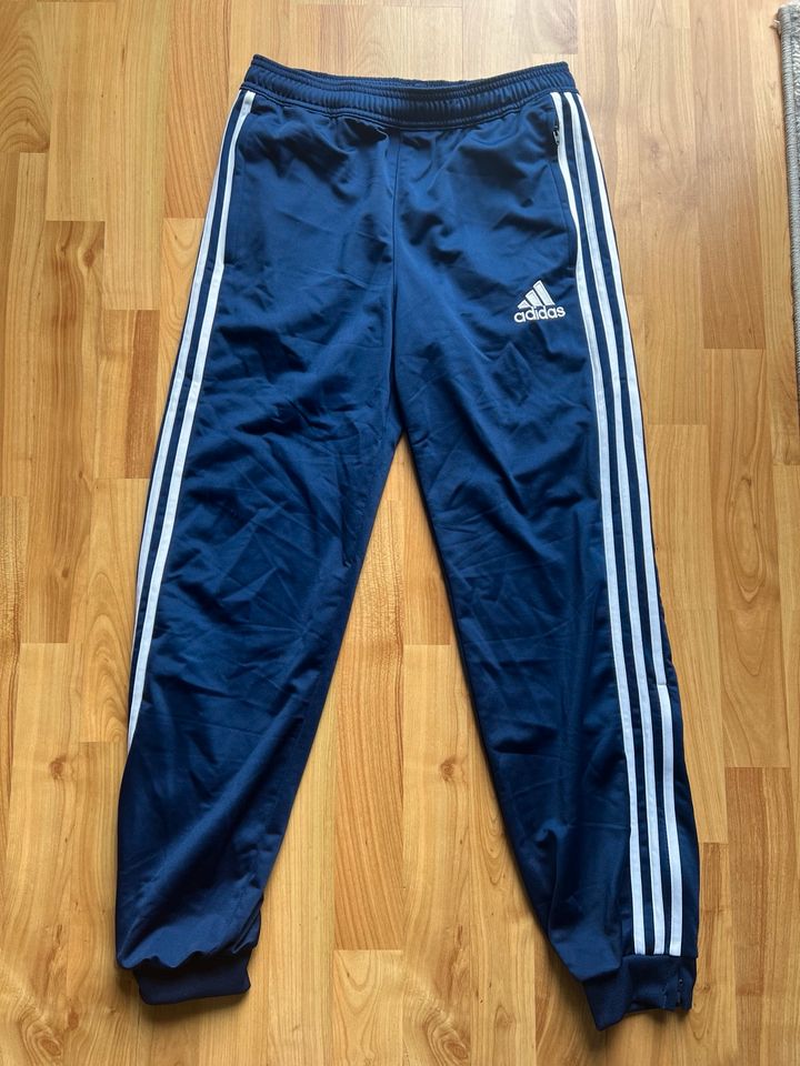 Adidas Jogginghose in Birkenwerder