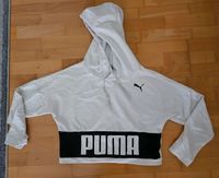 Puma Pulli Baden-Württemberg - Rheinfelden (Baden) Vorschau