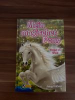 Mein magisches Pony - Flügel im Wind - Buch NEU Hessen - Aßlar Vorschau