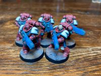 Warhammer 40K Space Marines Hellblasters Indomitus Münster (Westfalen) - Wolbeck Vorschau